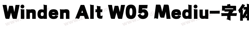 Winden Alt W05 Mediu字体转换